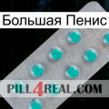 Большая Пенис 28